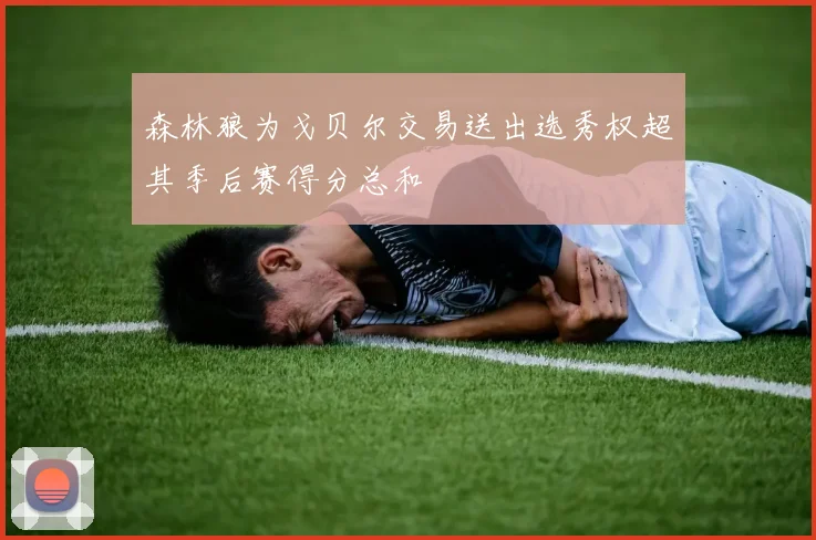 森林狼为戈贝尔交易送出选秀权超其季后赛得分总和
